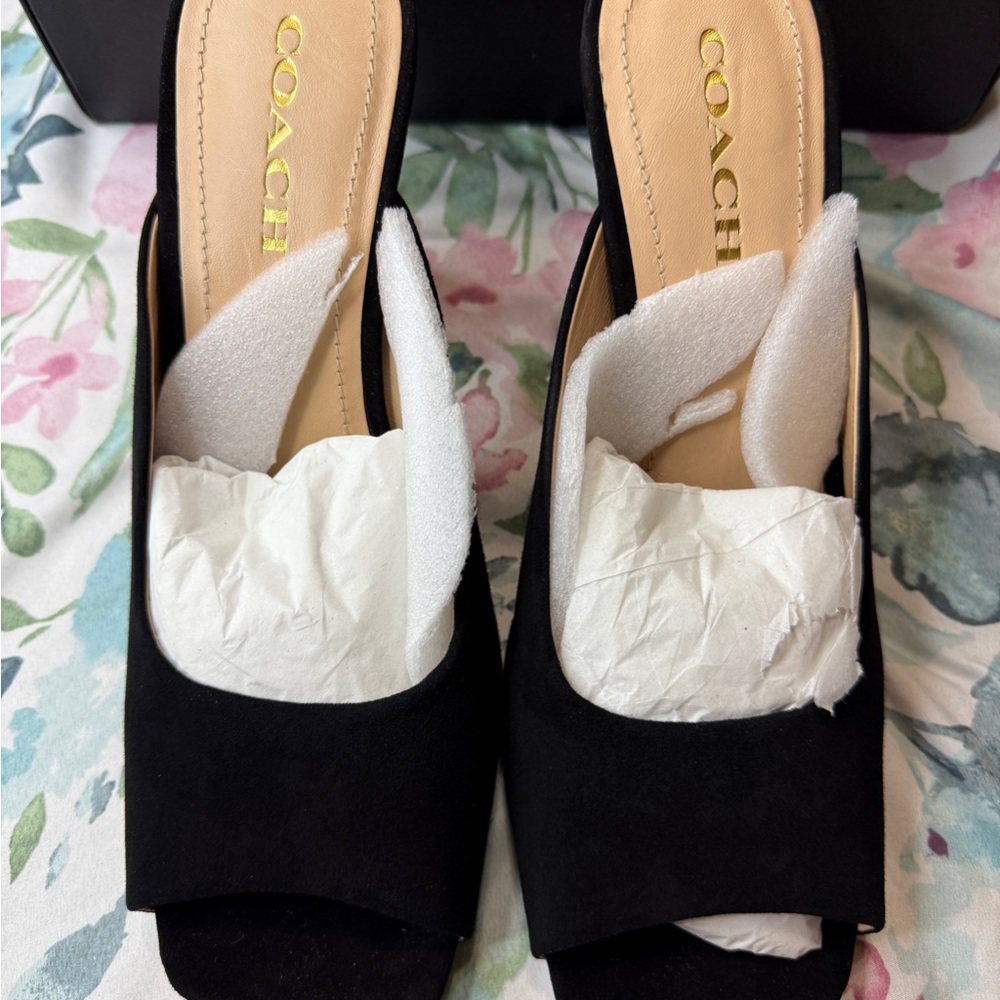 Coach Laurence Sandal